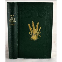 A Natural History of New and Rare Ferns : Containing Species and Varieties, None of Which are Included in Any of the Eight Volumes of Ferns, British and Exotic